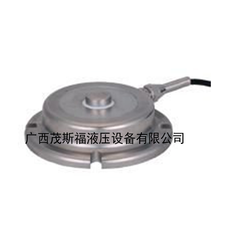 广西FT201 轮辐式称重传感器 