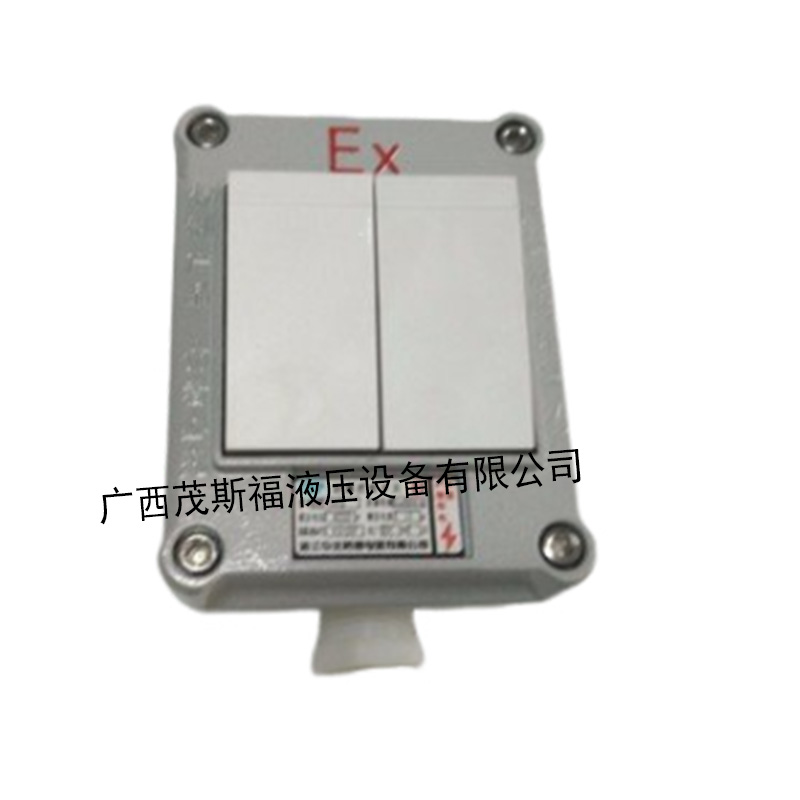 广西SWB-10A 防爆照明开关