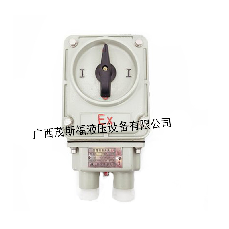 广西新黎明BHZ51防爆转换开关 