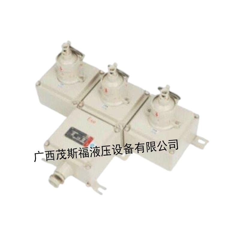 广西BXS-6K 16A防爆开关
