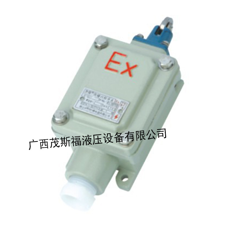 广西防爆行程开关8077 1-11