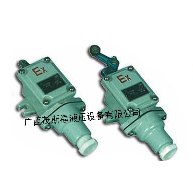 广西防爆行程开关 LX5-110 