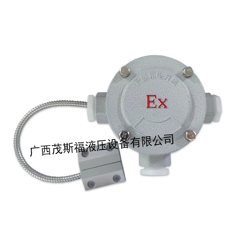 广西YFT防爆门磁开关