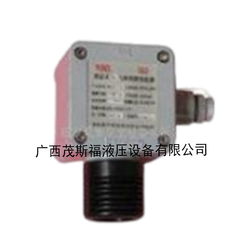 广西气体检测变送器HL-1100 