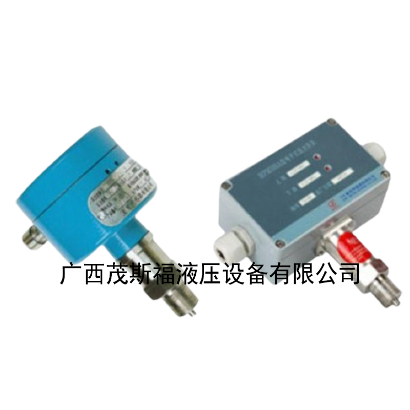 广西MFM500型流量开关 